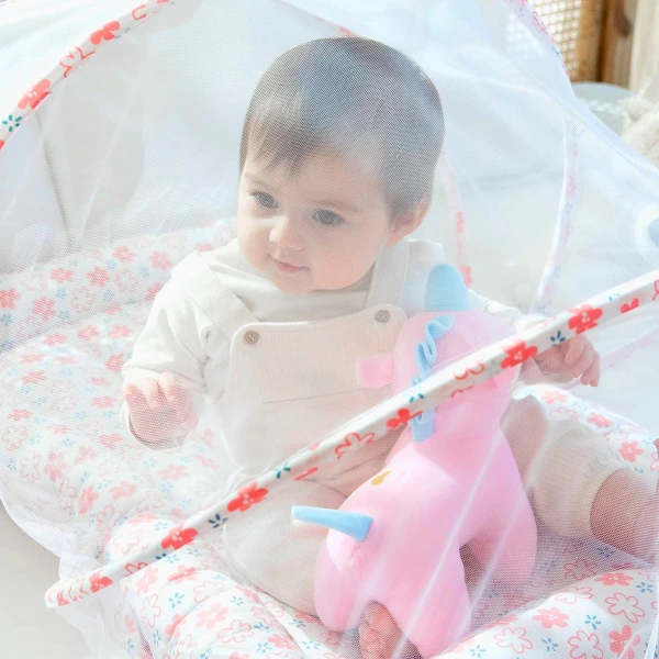 Baby Bed with Mosquito Net & Neck Pillow